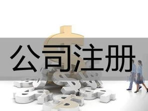 专业代办上海企业异常注销及软件开发服务解析